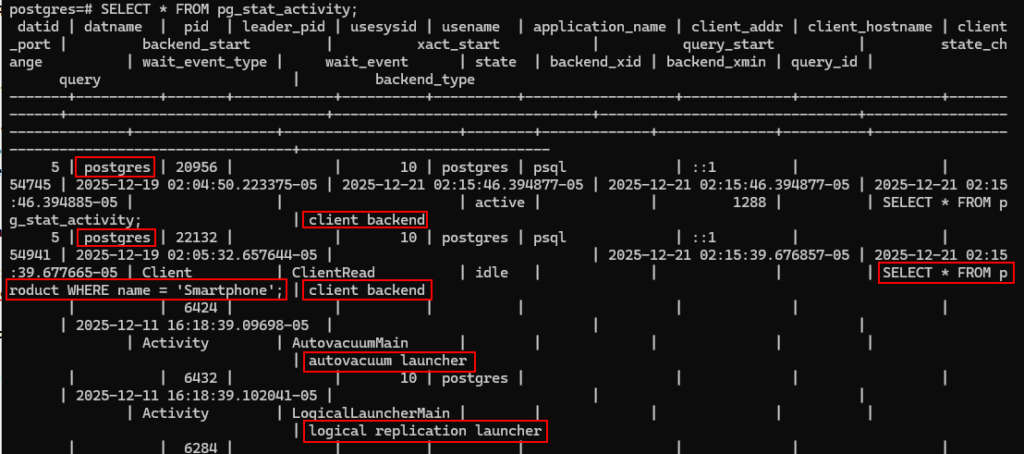 SELECT * FROM pg_stat_activity;