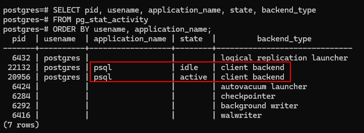 SELECT pid, usename, application_name, state, backend_type
FROM pg_stat_activity
ORDER BY usename, application_name;