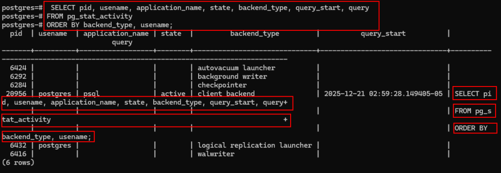 SELECT pid, usename, application_name, state, backend_type, query_start, query
FROM pg_stat_activity
ORDER BY backend_type, usename;