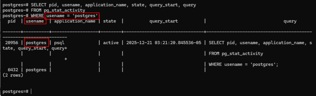 SELECT pid, usename, application_name, state, query_start, query
FROM pg_stat_activity
WHERE usename = 'postgres'; -- Replace with your actual user name